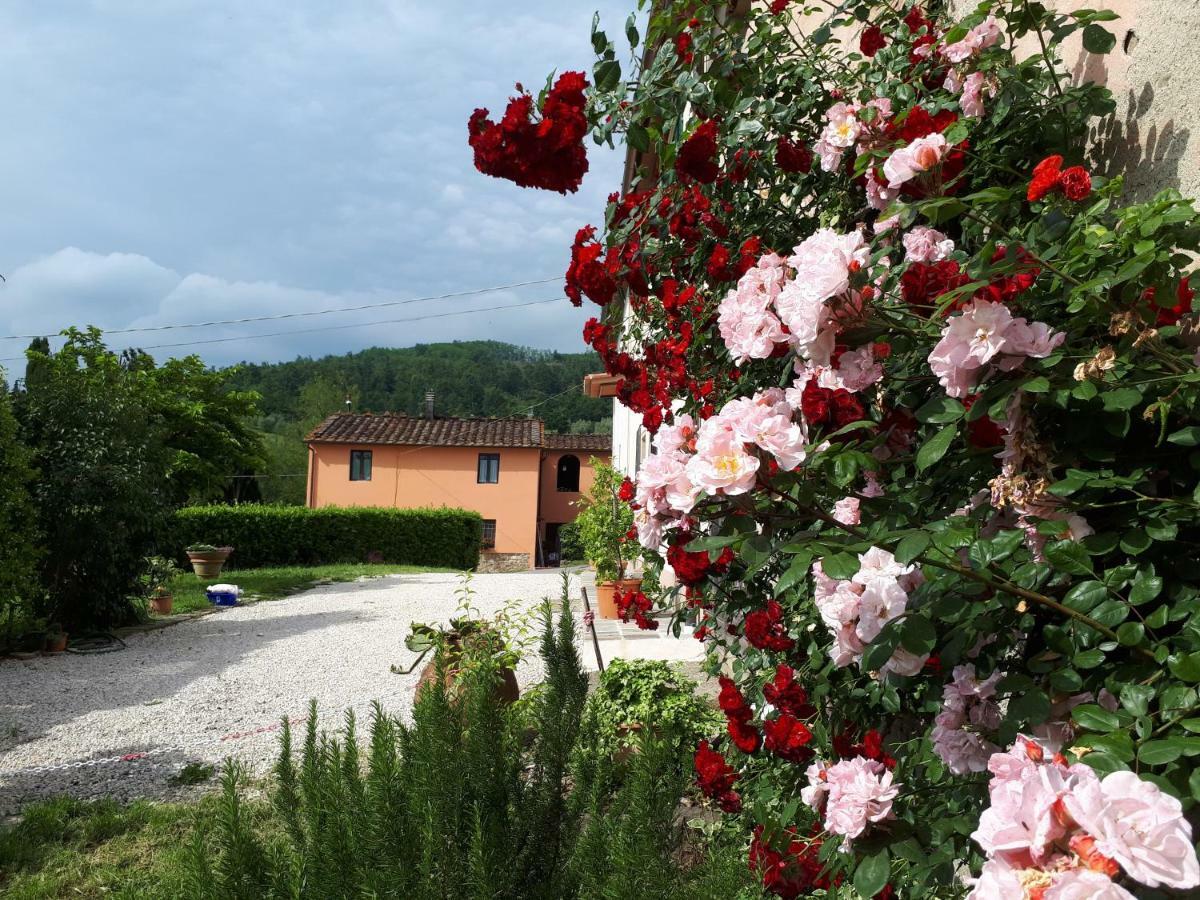 Casa "Il Brio" Villa Pistoia Exterior foto